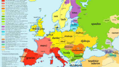 Photo of What languages ​​are spoken in Europe?