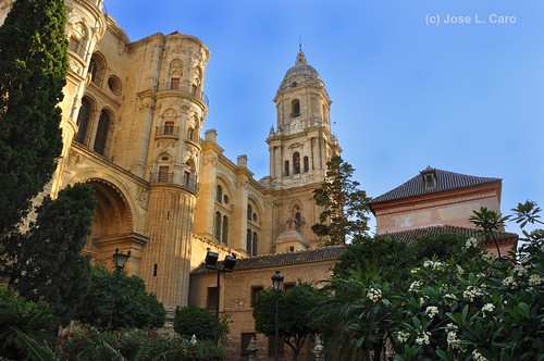 Malaga Cathedral (DSC_6898)