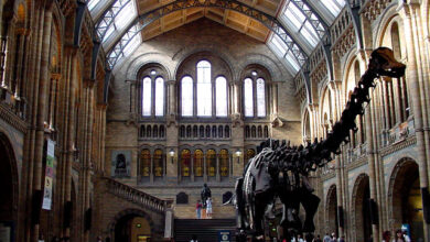 Photo of How to visit the Natural History Museum in London