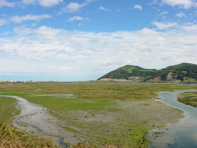 Santoña - Marshes