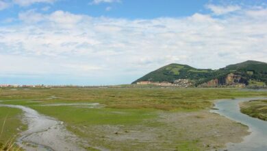 Photo of Visit Santoña, the town of marshes and anchovies